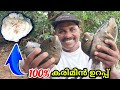 ഈ ബൈറ്റ് ഇട്ടാല്‍ 100% കരീമീന്‍കിട്ടും|karimeen fishing|fishing malayalam|Keralafishing|fishingvideo