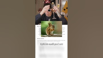 New Years patch notes