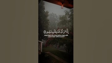 راحة نفسية❤️✨حالات واتس اب قران/مقاطع دينية قصيرة آيات قرانية/ستوريات انستا#قرآن_كريم
