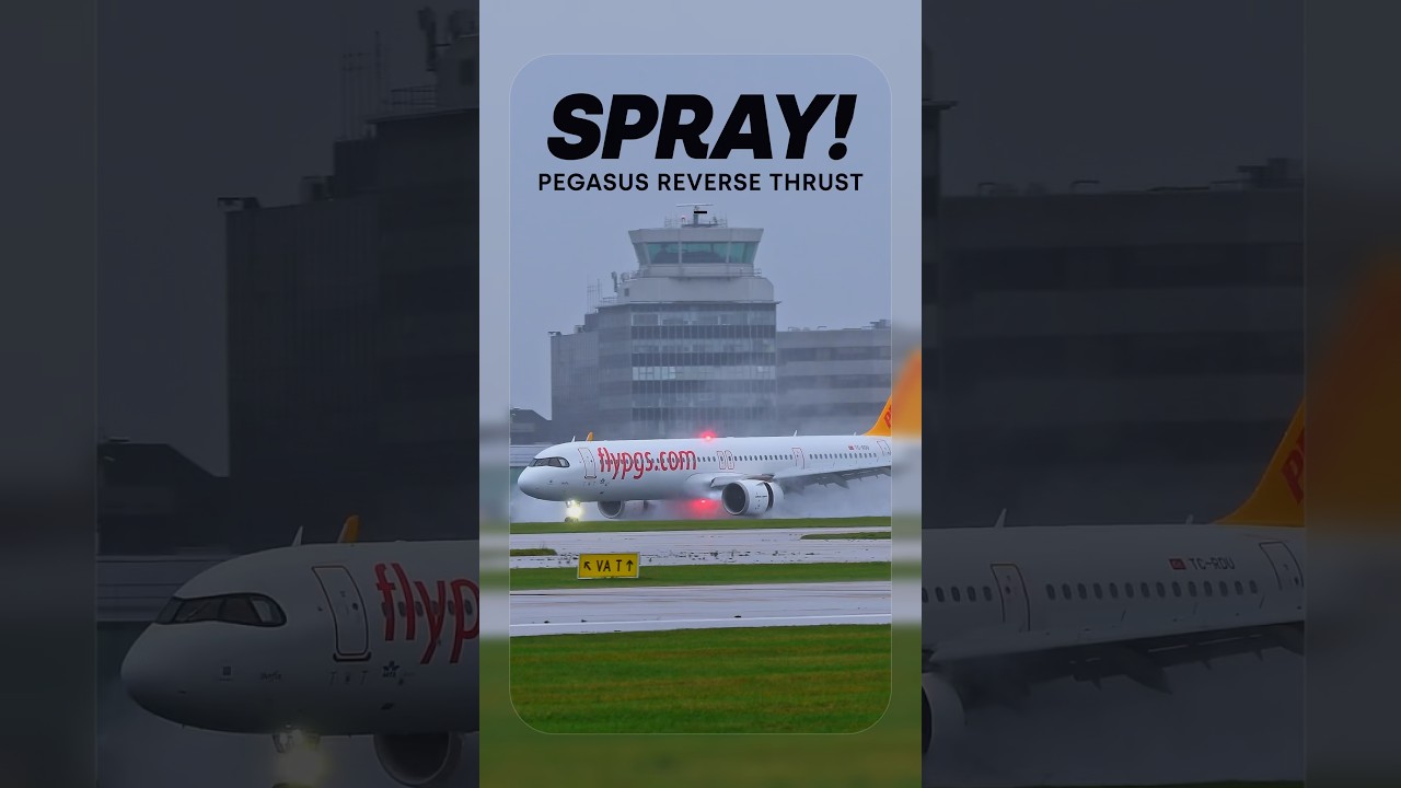 Pegasus mega spray action!