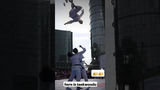 #world #cricket #cricketlover #and #worldwide #taekwondochallenge #martialarts #supe #performance