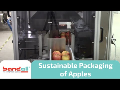 Packaging apples by