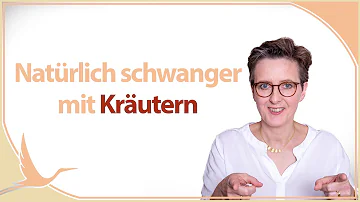 Welche Kräuter helfen um schwanger zu werden?