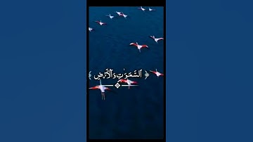 القرآن الكريم بصوت عبد الباسط عبد الصمد حالات واتس اب