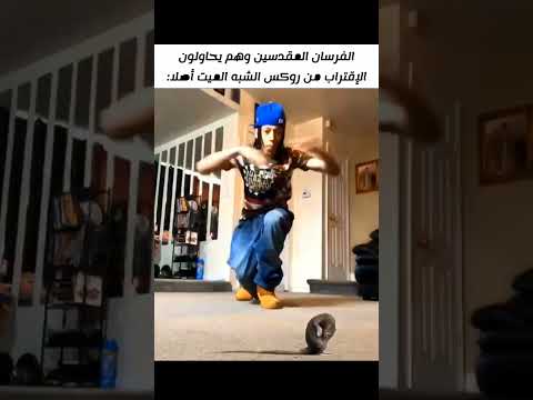 حتى وهو شبه ميت ما زالت هيبته تطغى ون بيس اكسبلور انمي Explore Anime Edit Shorts