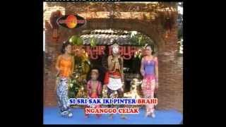 Sisri,by.Campursari Tokek Sekar Mayank(call: 628122598859)