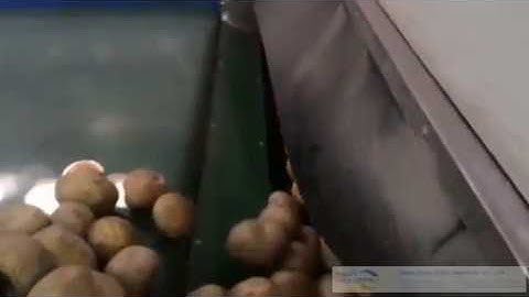 potato sorting/grading machine
