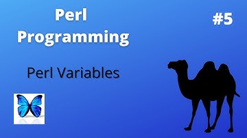 Perl variables | Scalar Array and Hash variables in PERL