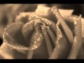 ودي أشوفك Mp4 