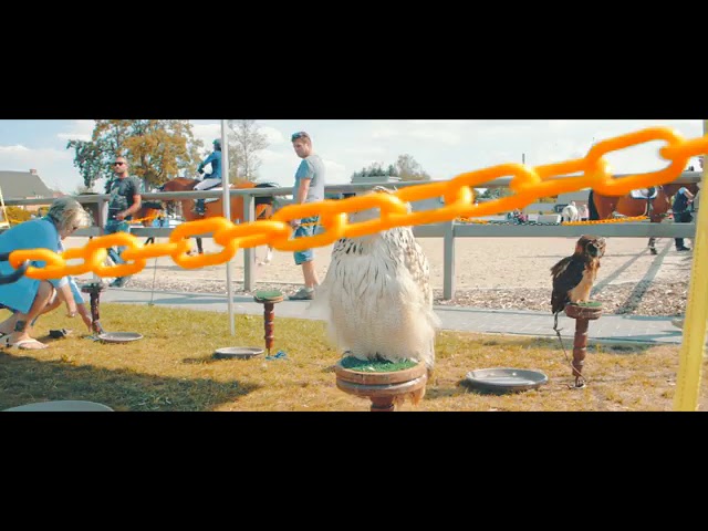 Aftermovie Limagro/CSI 3* 2018