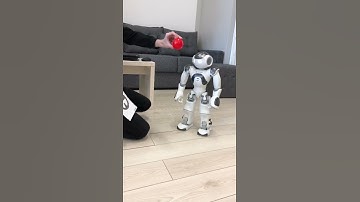 Object recognition by NAO robot