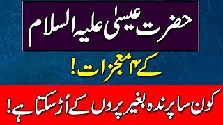 The Miracle Of Hazrat Moosa Mojza Kon Sa Parinda Begair Par Kay Ur Sakta Hay Nida E Islam