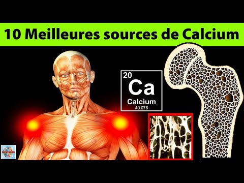Vidéo: TOP 10 Des Produits à Base De Calcium