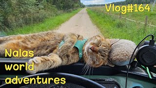 Travel vlog - Hello Latvia 🇱🇻 🐎 Vlog #164