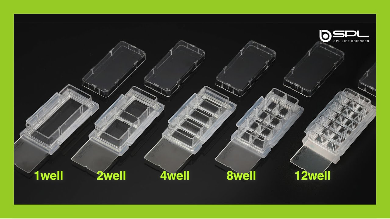 SPLセルカルチャースライド 4ウェル/ガラス/クリア|研究用機器