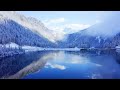 🌳 Winter Snow Forest Scene - Relaxing Piano Music - Deep Sleep Music: Meditation, Study & Spa Music