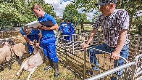 Farmers Apprentice 2018 Episode 3 | Driving Perfection