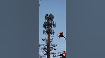 No signal for shorts #subscribe ORIGINAL VIDEO