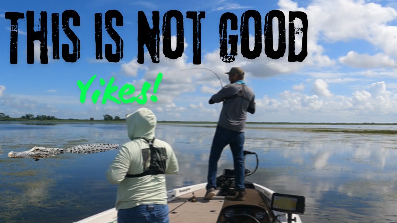 I can't believe we accidentally caught this! Kenansville Bass fishing #bassfishing #fish  #florida