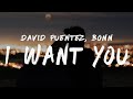 David puentez bonn  i want you lyrics