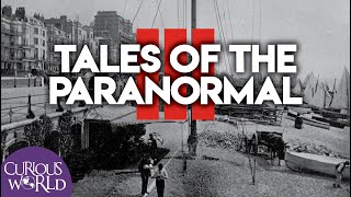 Tales of the Paranormal III by Curious World 88,582 views 1 year ago 20 minutes