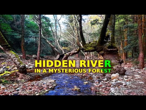 Serene Rivers of