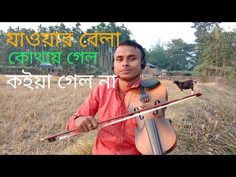 ভিডিও: চিঠিগুলি কোথায় গেল?