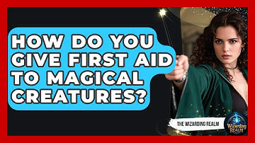 How Do You Give First Aid To Magical Creatures? - The Wizarding Realm