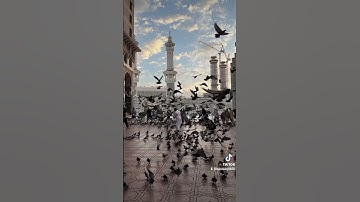 قرآن كريم #دويتو #اكسبلور #اكتب_شي_تؤجر_عليه #تيك_توك #ترند #راحة_نفسية #متابعه