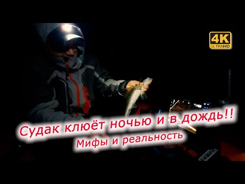 Когда лучше всего ловить судака. Вечером, ночью или утром?