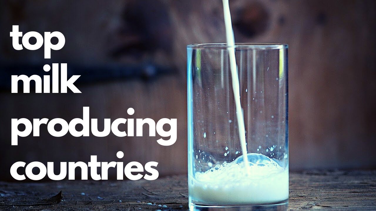 World Top Milk Production Countries