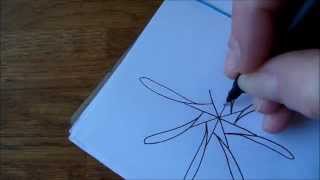 How to draw tanglepattern Whirlee