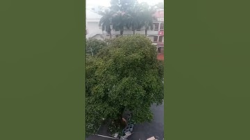 Khuôn Viên Trường Cao Đẳng CNQP