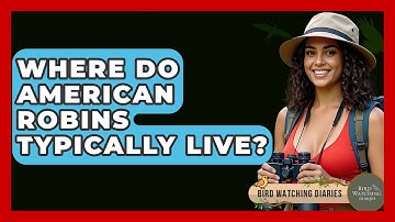 Where Do American Robins Typically Live? - Bird Watching Diaries