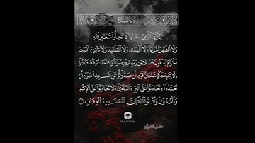 ياأيها الذين آمنوا لا تحلوا شعائر الله #سورة_المائدة #ماهر_المعيقلي #حامل_القرآن #إسلاميات #قرآن