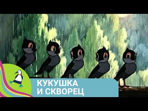 👨‍👨‍👧‍👧 О СЕМЬЕ ВОРОБЬЕВ, КОТОРЫЕ ОСТАЛИСЬ БЕЗ ДУПЛА! Кукушка и скворец. Союзмультфильм.