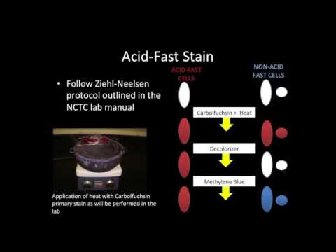 Acid Fast Staining Procedure Ziehl Neelsen Stain: Introduction,