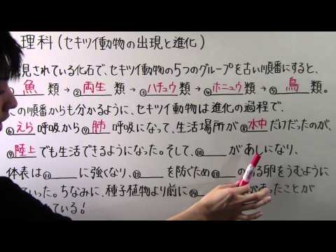 【中２　理科】　　中２－３３　　セキツイ動物の出現と進化