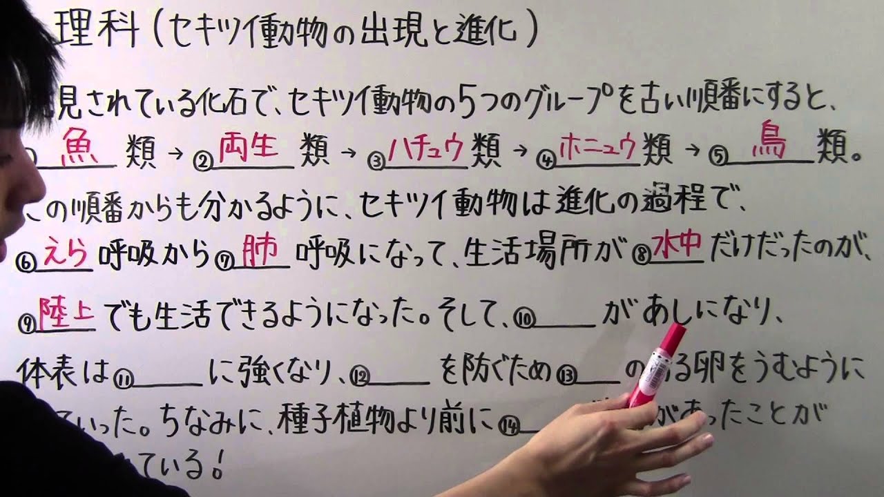 中２ 理科 中２ ３３ セキツイ動物の出現と進化 Youtube