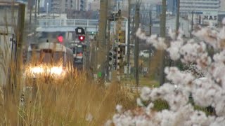 2022/04/03   JR高山線　境川第一橋梁　キハ85　ひだ号　など