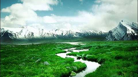 الشيخ خالد الجليل - سورة الأنبياء - من أجمل التلاوات