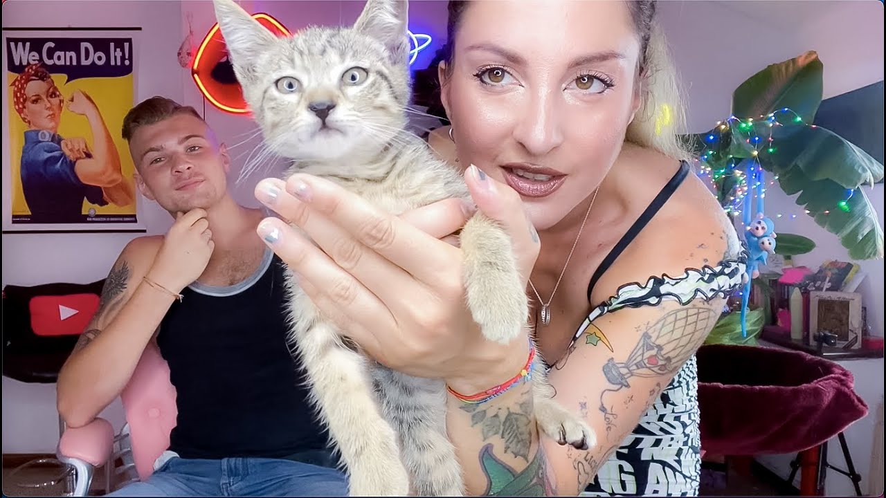 HO SALVATO UN CUCCIOLO GATTO NEL MOTORE DELLA MIA AUTO