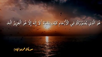 آياتٌ مختارةٌ مِنَ الذكرِ الحكيم سورةُ آل عمران (آية ٦)#هل_القرآن_الأبرار