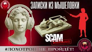 видео: 🔥✅Хроники Августы. ЗАПИСИ ИЗ МЫШЕЛОВКИ🔴ИЗЯЩНЫЙ ТРОЛЛИНГ МОШЕННИКОВ. АФЕРИСТЫ, СКАМ, ЮМОР картинка: 🔥✅Хроники Августы. ЗАПИСИ ИЗ МЫШЕЛОВКИ🔴ИЗЯЩНЫЙ ТРОЛЛИНГ МОШЕННИКОВ. АФЕРИСТЫ, СКАМ, ЮМОР