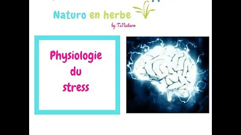 Comment fonctionne le stress sur le corps ?