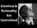Jordan Peterson ~ Emotions & Rationality Are Interrelated