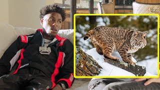 NBA YoungBoy was almost attacked by a Bob Cat in the Utah Mountains