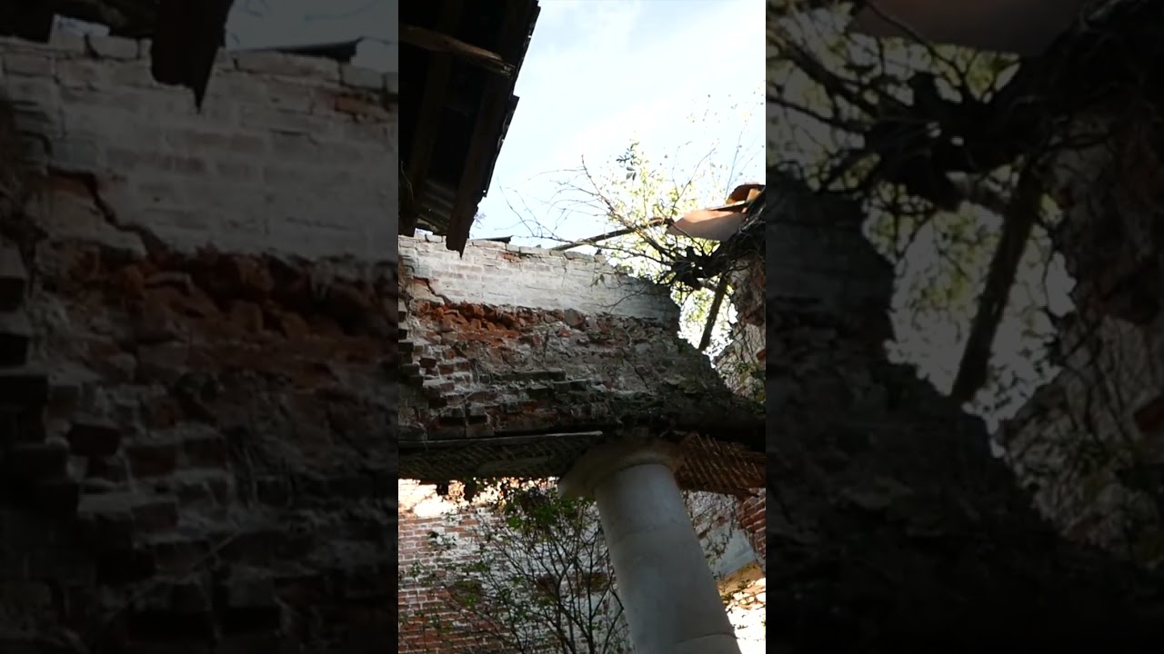 Собственный свод трапезной