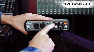 Episode 3: Signal Flow with RUio16-D