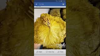 Tokat Erbaa Mesur Salamura Yaprak Petbidon Teslim Edilir